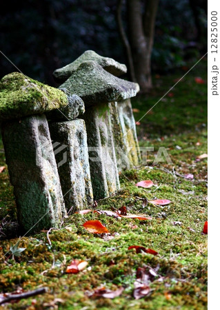 長岳寺 長岳寺 12825000