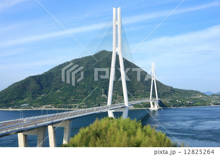 多々良大橋 12825264