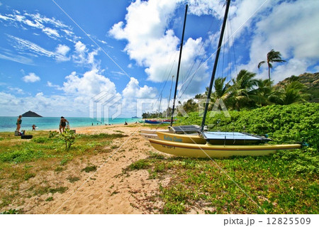 風景　青空　ビーチ　の写真 12825509