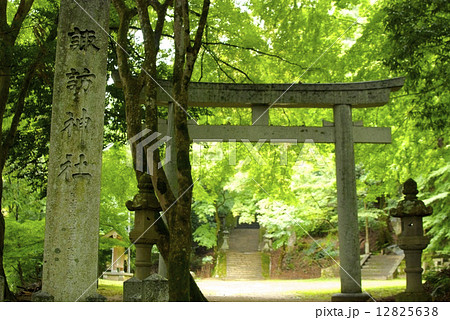 諏訪神社 12825638