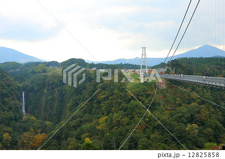 九重「夢」大吊橋紅葉 12825858