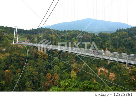 九重「夢」大吊橋紅葉 12825861