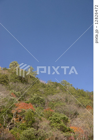 秋景色　奈良県　上北山村 12826472