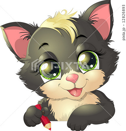 little kitten 12826893