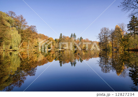 panorama of autumn trees at a glassy lake panorama of autumn trees at a glassy lake 12827234