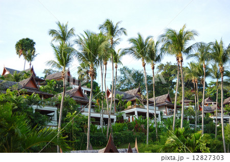 Luxury villas of Thai style hotel, Phuket, Thailand Luxury villas of Thai style hotel, Phuket, Thailand 12827303