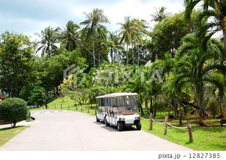The electric cars for tourists transportation at luxury  hotel, 12827385