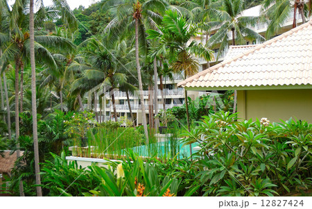 Swimming pool at the luxury villa, Phuket, Thailand 12827424