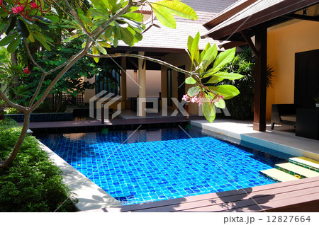 Swimming pool at the luxury villa, Pattaya, Thailand 12827664