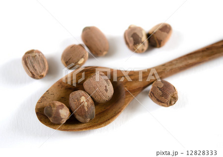 dry red lotus seed 12828333