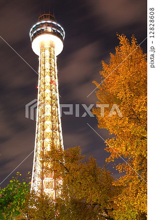 マリンタワーと紅葉 マリンタワーと紅葉 12828608
