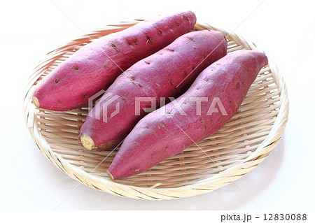 金時いも 12830088