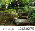 日本庭園 12830275