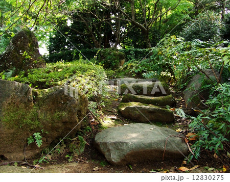 日本庭園 12830275
