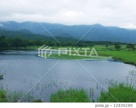 知床五湖 知床五湖 12830280