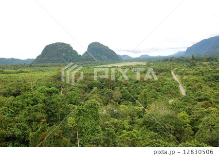 ムル山(グヌン・ムル国立公園/東マレーシア・ボルネオ島) ムル山(グヌン・ムル国立公園/東マレーシア・ボルネオ島) 12830506