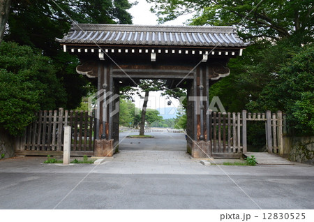 蛤御門(京都御苑/京都市上京区烏丸通下長者町上ル) 蛤御門(京都御苑/京都市上京区烏丸通下長者町上ル) 12830525