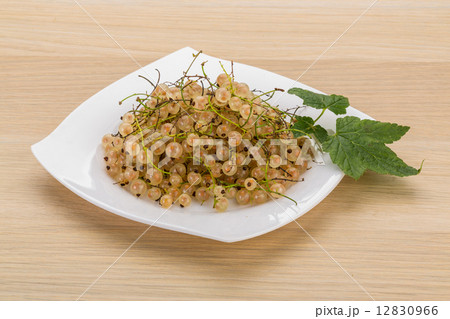 White currant 12830966