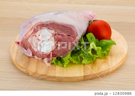 Turkey leg 12830986