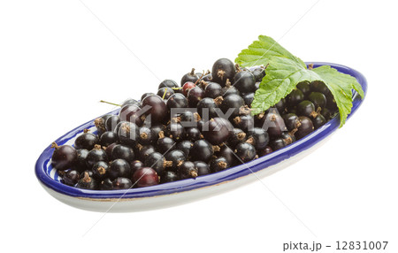 Black currant Black currant 12831007