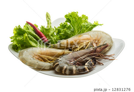 King and waterleg shrimps King and waterleg shrimps 12831276