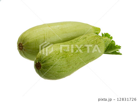 Zuchini 12831726