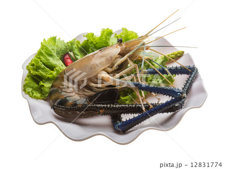 Freshwater prawn 12831774
