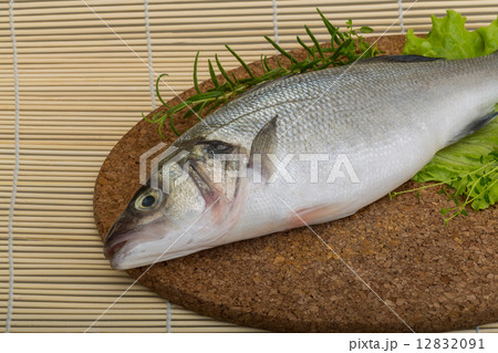 Raw seabass 12832091