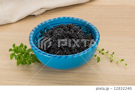 Black caviar Black caviar 12832240