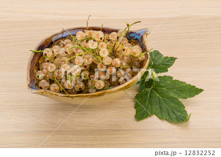 White currant White currant 12832252