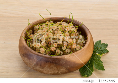 White currant 12832345