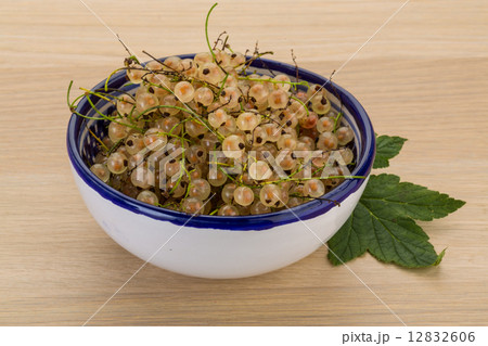 White currant 12832606