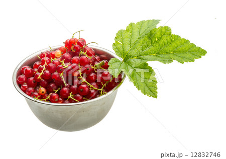 Red currant Red currant 12832746