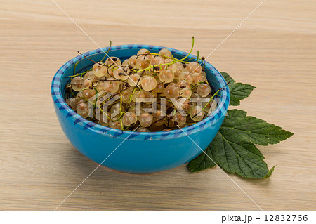 White currant White currant 12832766