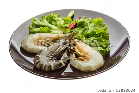 King and waterleg shrimps 12833024