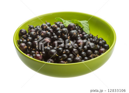 Black currant Black currant 12833106
