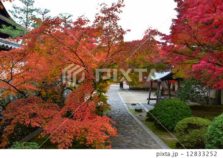紅葉の名所一休寺 紅葉の名所一休寺 12833252