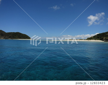 沖縄　慶良間諸島　国立公園　儀志布島 12833423