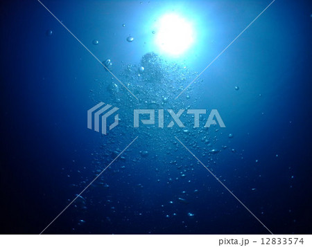ダイビング　泡　気泡　水中 12833574