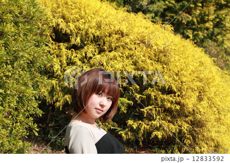 ミディアム　ボブヘアの可愛い女性 12833592