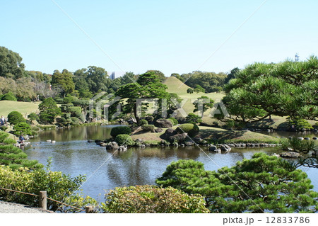 水前寺公園　庭園 12833786