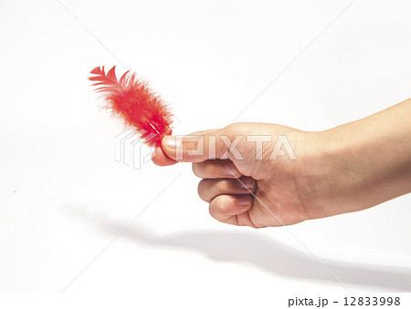 赤い羽根と子供の手 赤い羽根と子供の手 12833998