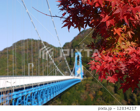 龍神大吊橋 12834217