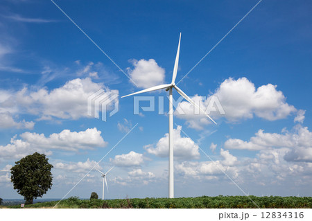 Wind Turbine Farm Wind Turbine Farm 12834316