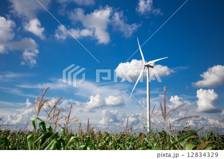 Wind Turbine Farm 12834329