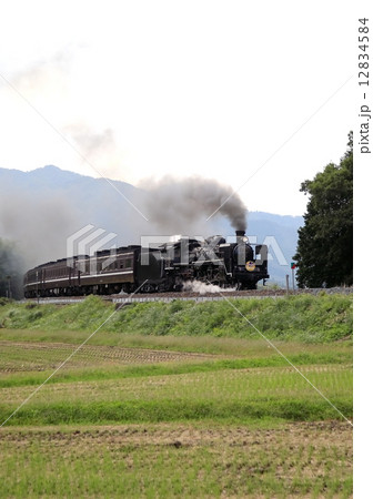 ＳＬ 12834584