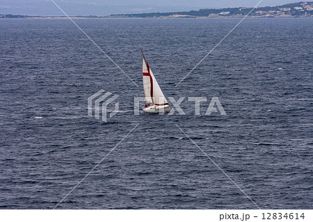 ボニファシオ海峡 12834614