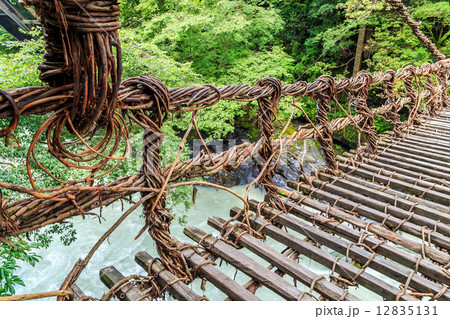 徳島県：祖谷のかずら橋 12835131