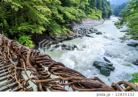 徳島県：祖谷のかずら橋 12835132