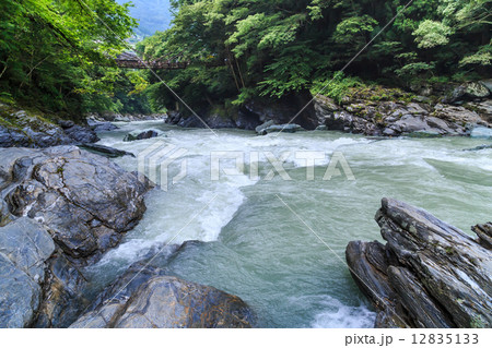 徳島県：祖谷のかずら橋 12835133